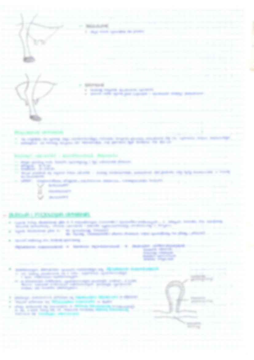 BPPZ - bydło - strona 3