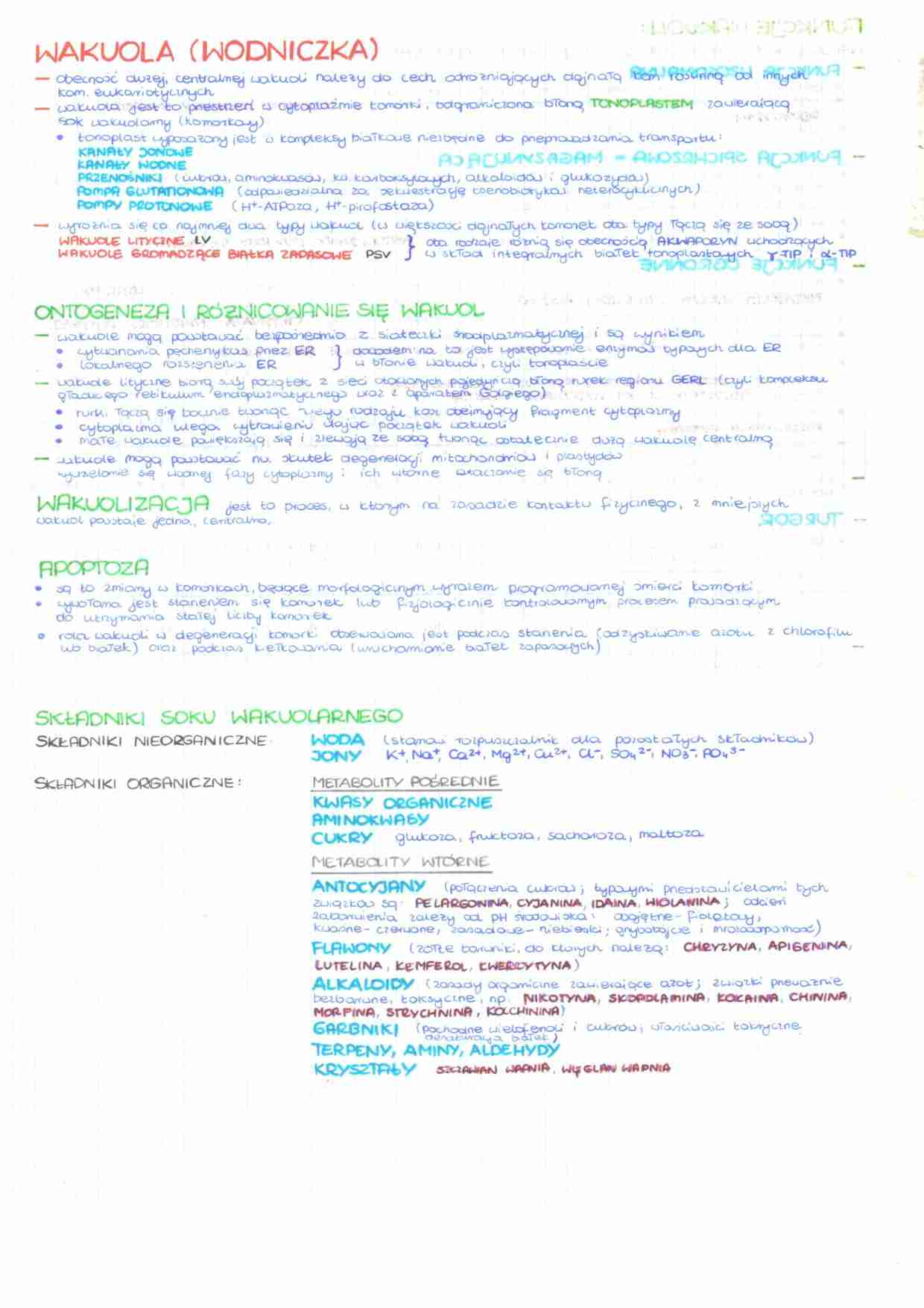 Budowa komórki - wybrane organelle komórkowe - strona 1