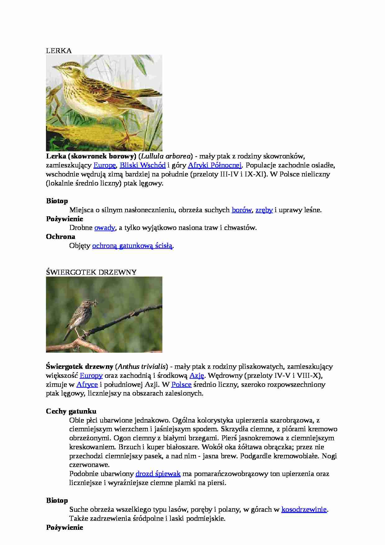 Zdjęcia oraz opisy zwierząt leśnych - referat - strona 1