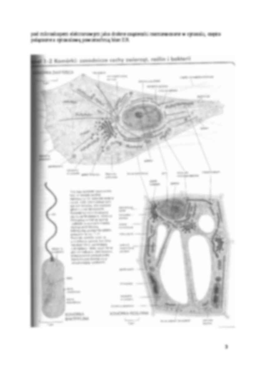 Biologia komórki - materiały - strona 3
