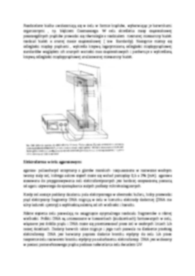 Frakcjonowanie komórek - materiały - strona 3