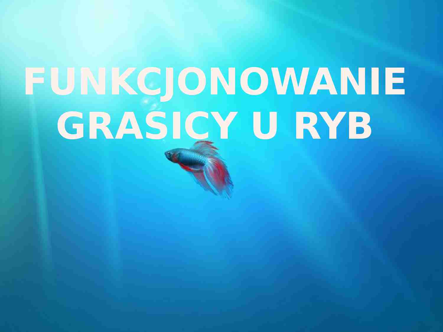 Funkcjonowanie grasicy u ryb - strona 1