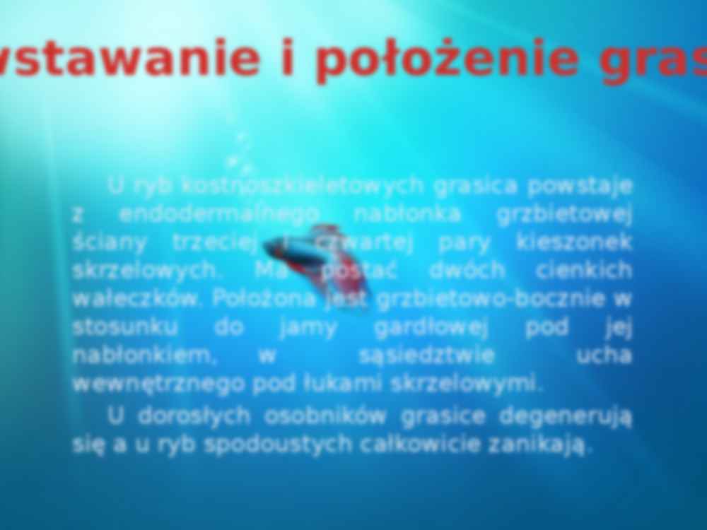 Funkcjonowanie grasicy u ryb - strona 3