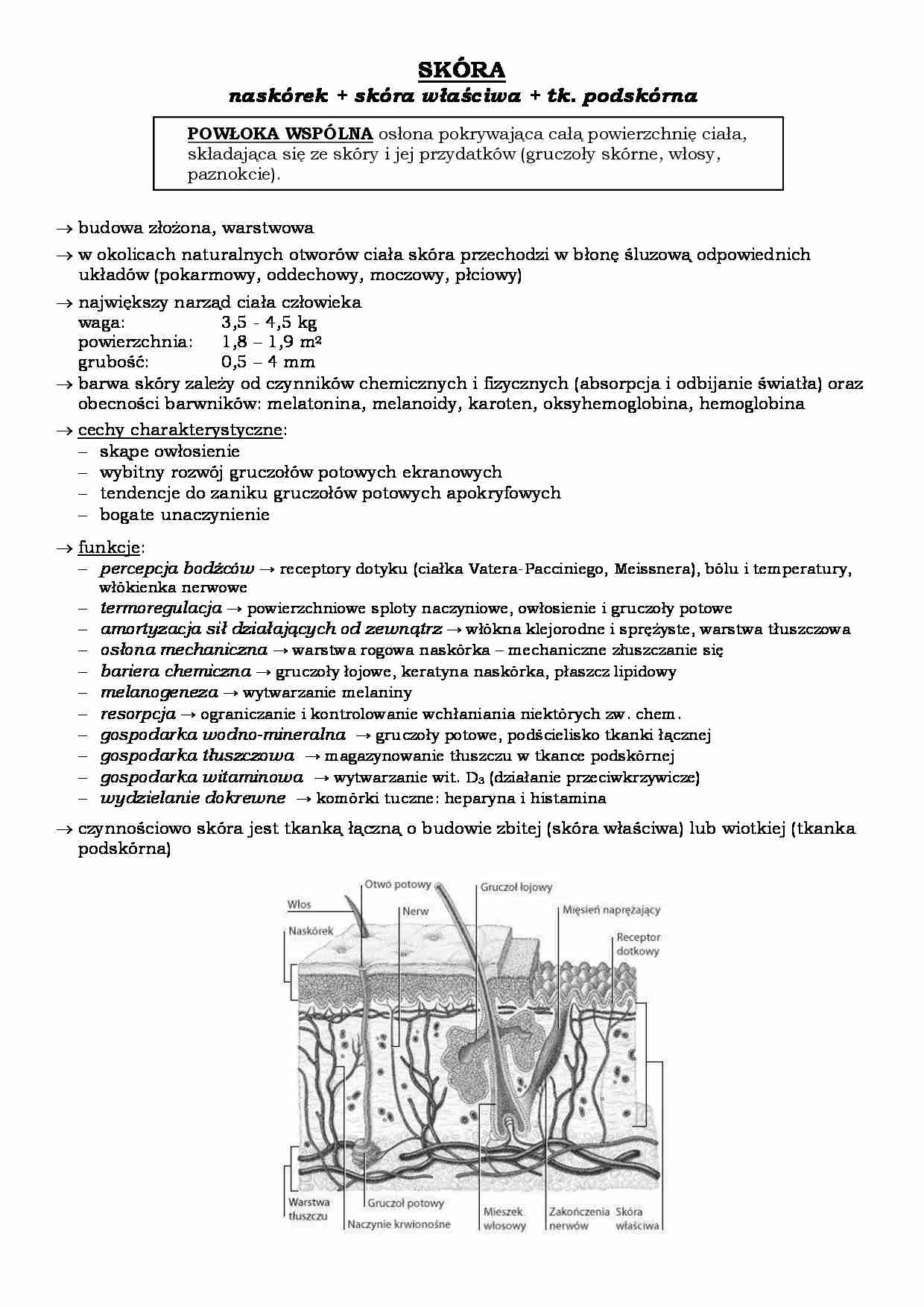 Skóra i narządy zmysłów - strona 1