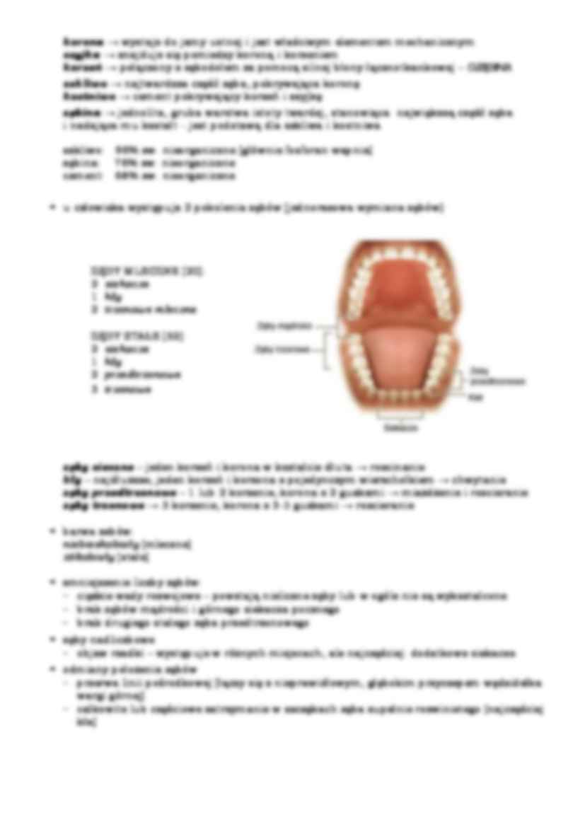 Układ pokarmowy - strona 3