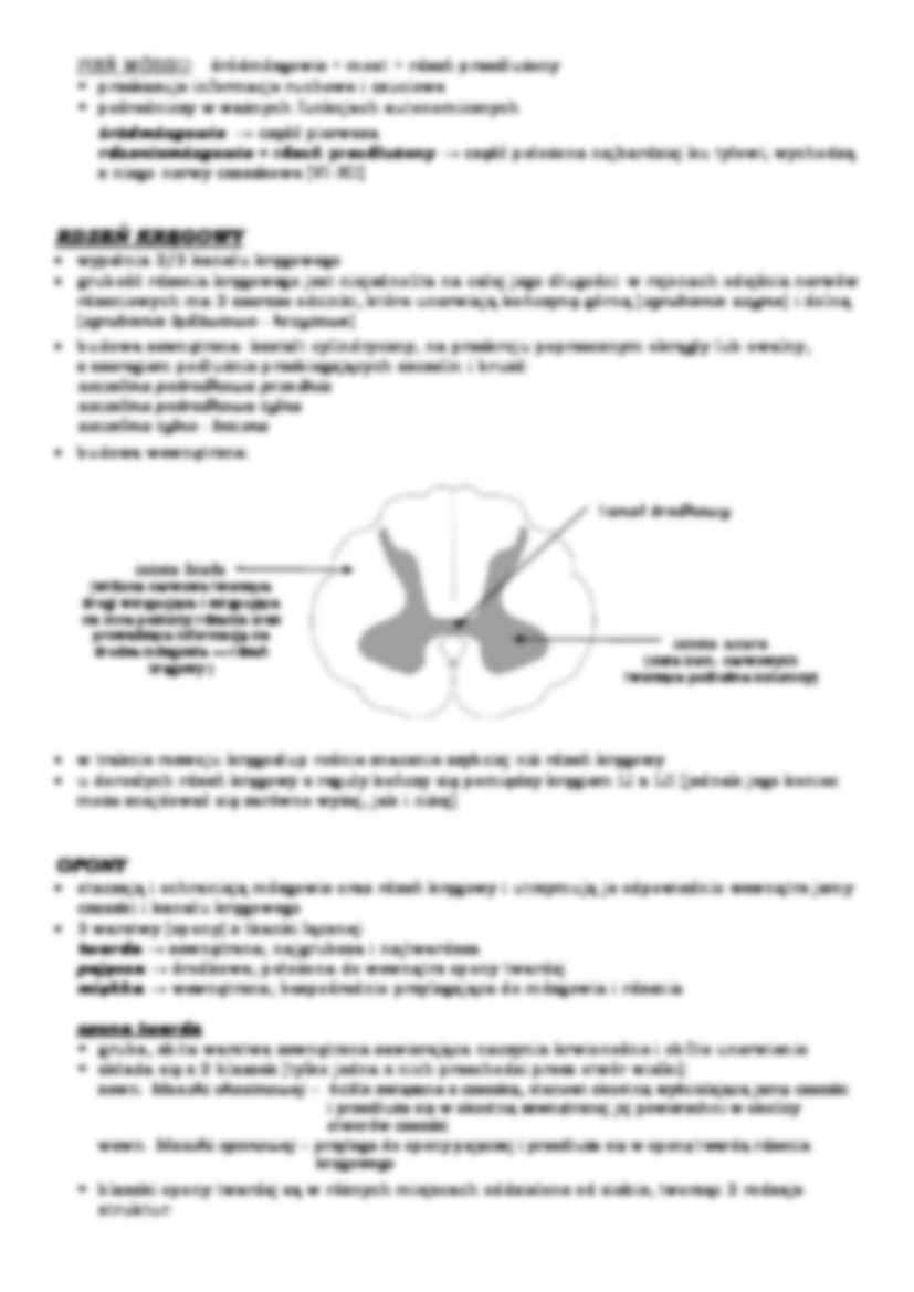 Układ nerwowy i układ oddechowy - strona 2