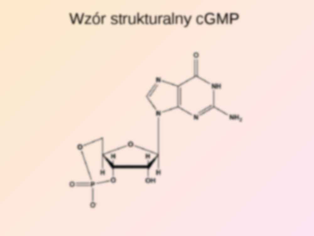 cGMP - powstawanie, budowa i podstawy działania - strona 3