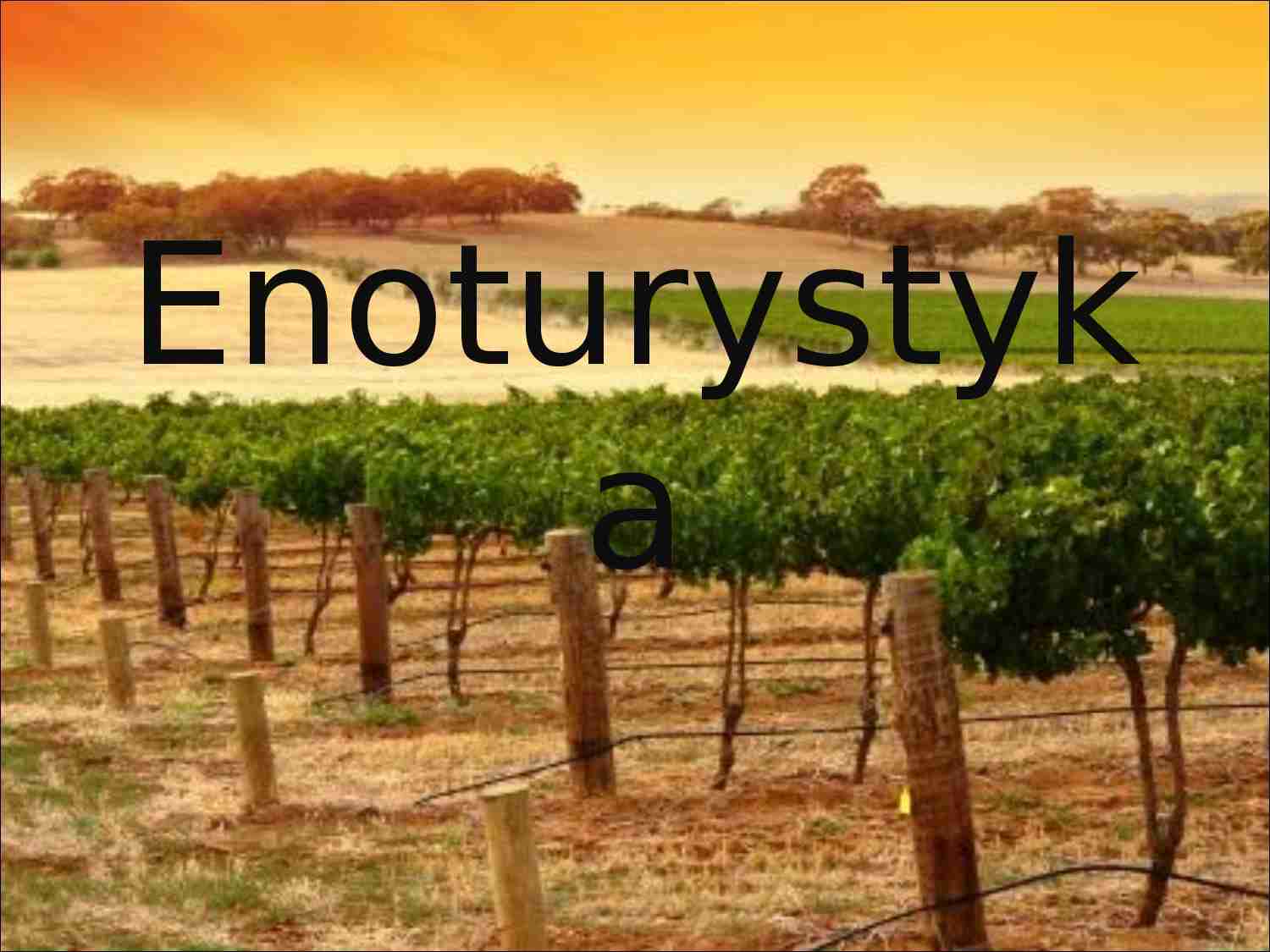 Enoturystyka - strona 1
