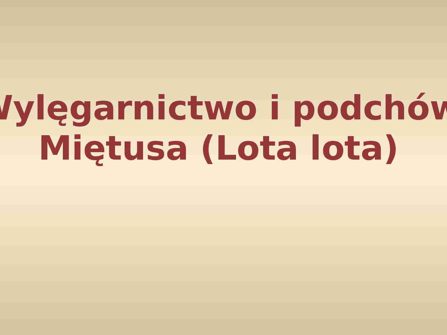 Miętus - wylęgarnictwo i podchów - strona 1
