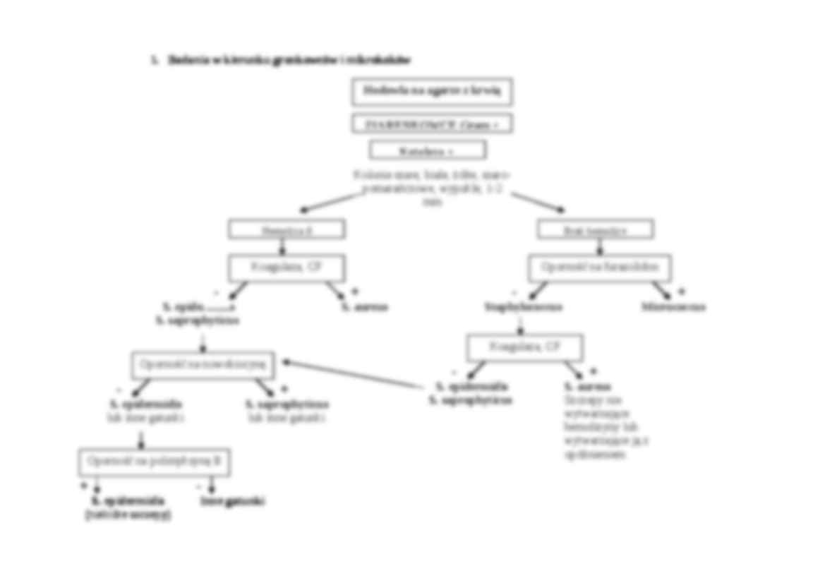 Schematy diagnostyczne - strona 2