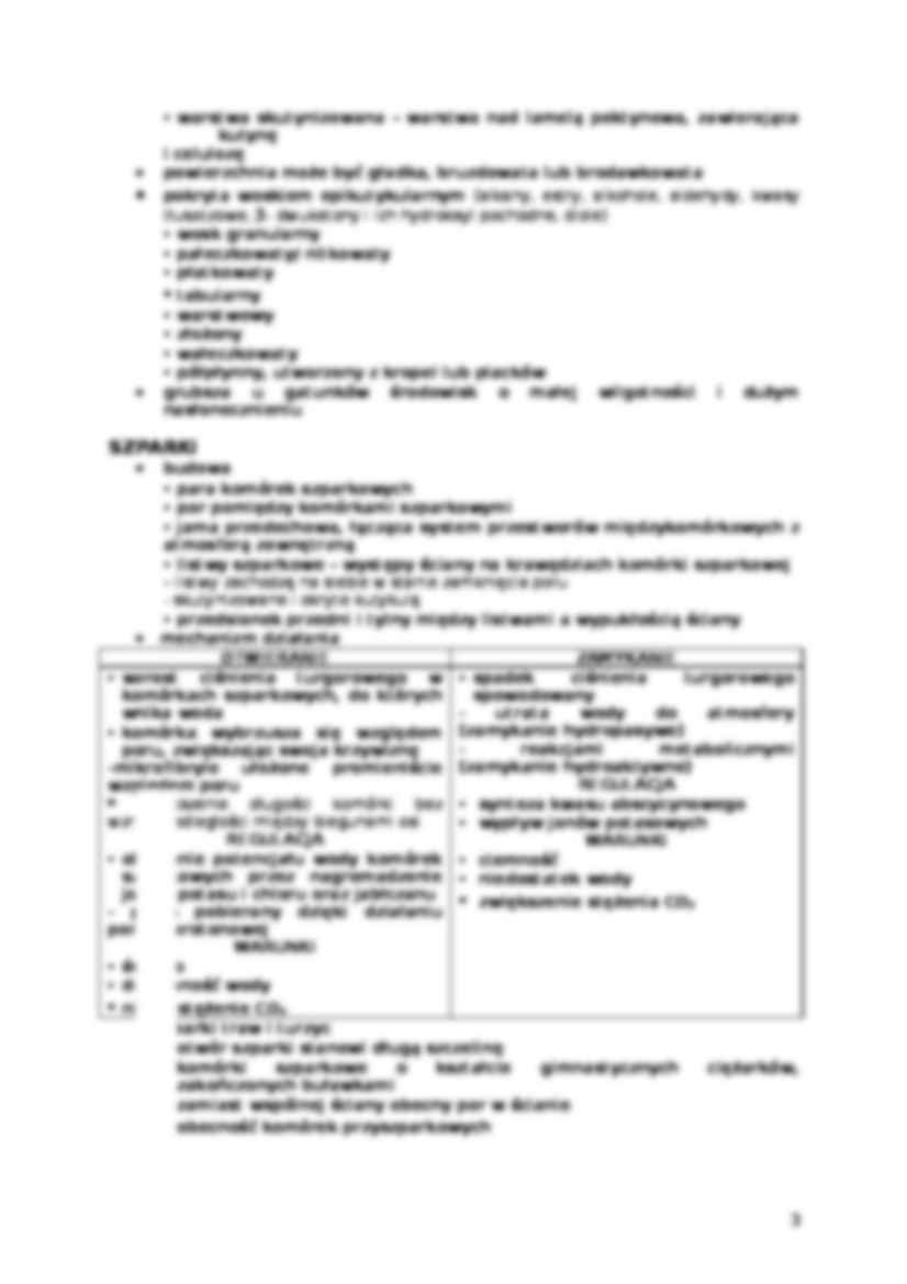 Epiderma i kolenchyma - strona 3