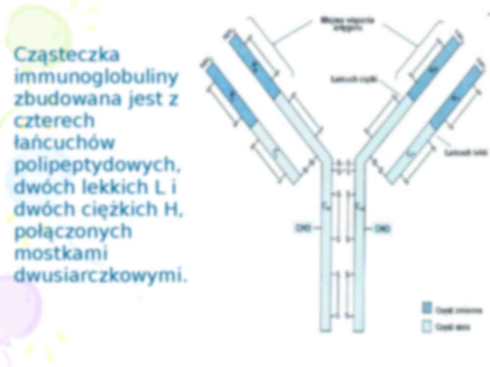 Klasy immunoglobulin - strona 3