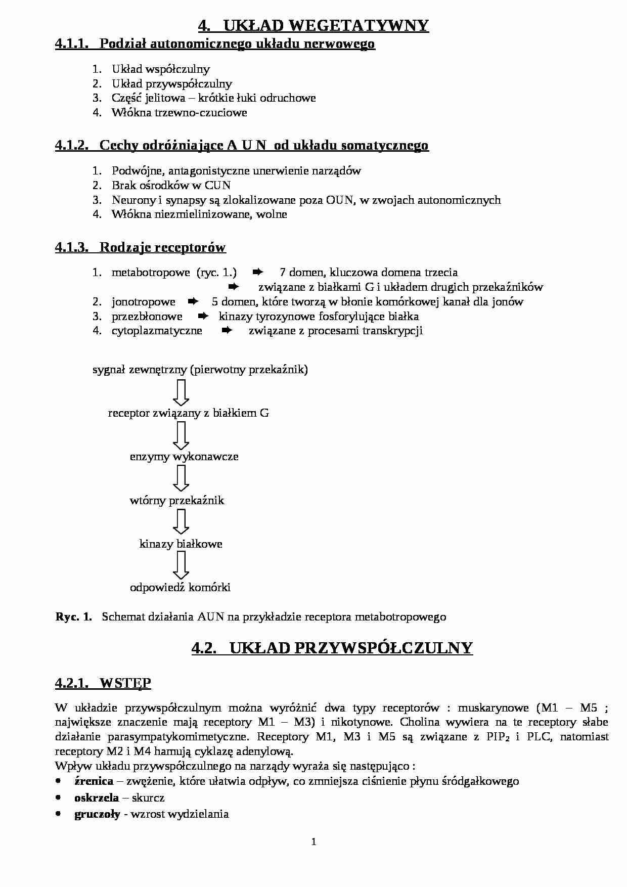 Układ wegetatywny - strona 1