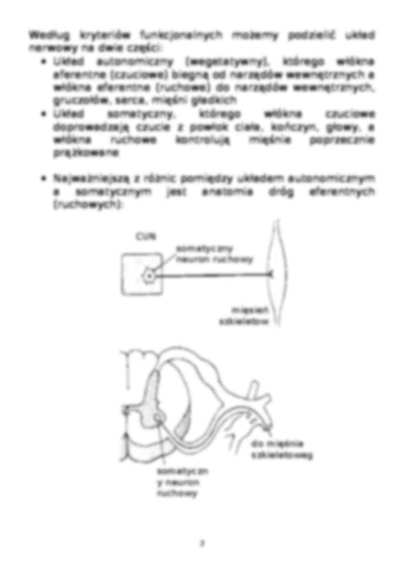 Układ nerwowy - strona 2