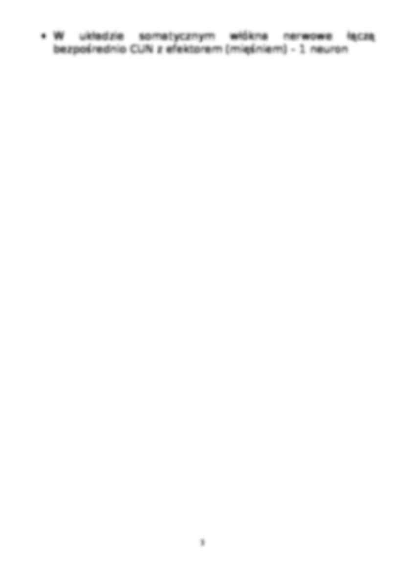 Układ nerwowy - strona 3