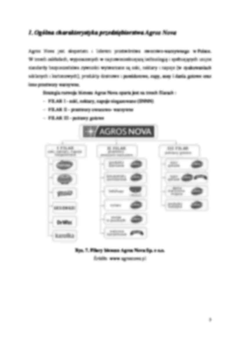 Analiza kosztów logistyki na przykładzie wybranej firmy - strona 3