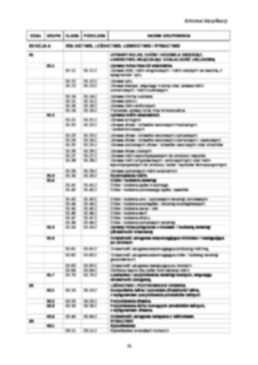 Profil klasyfikacji działalności 2007 - strona 3