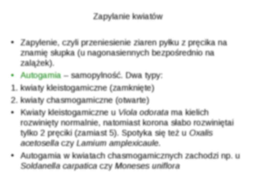 Prezentacje  - strona 3