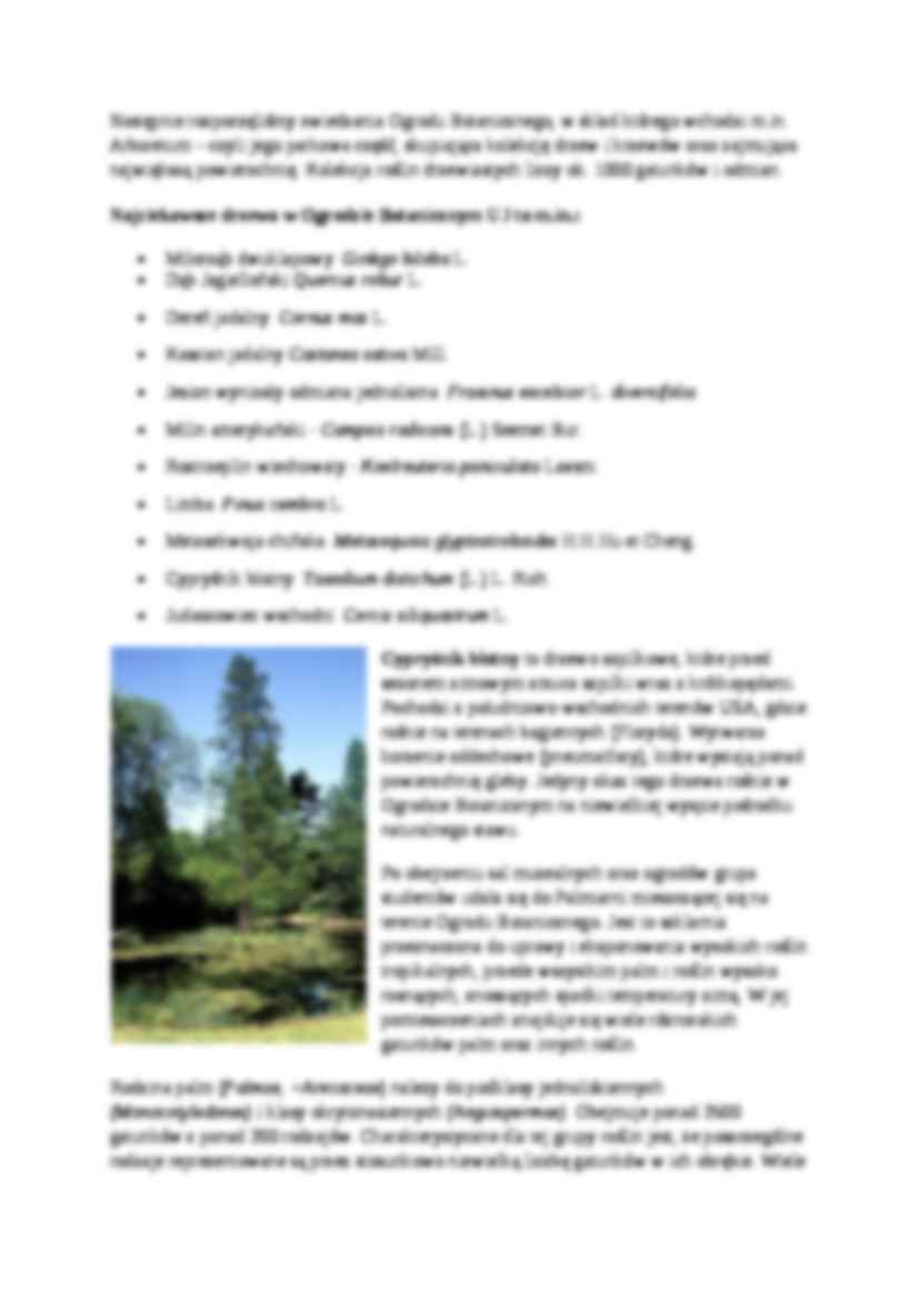 Sprawozdanie z wycieczki do Ogrodu Botanicznego w Krakowie - strona 3