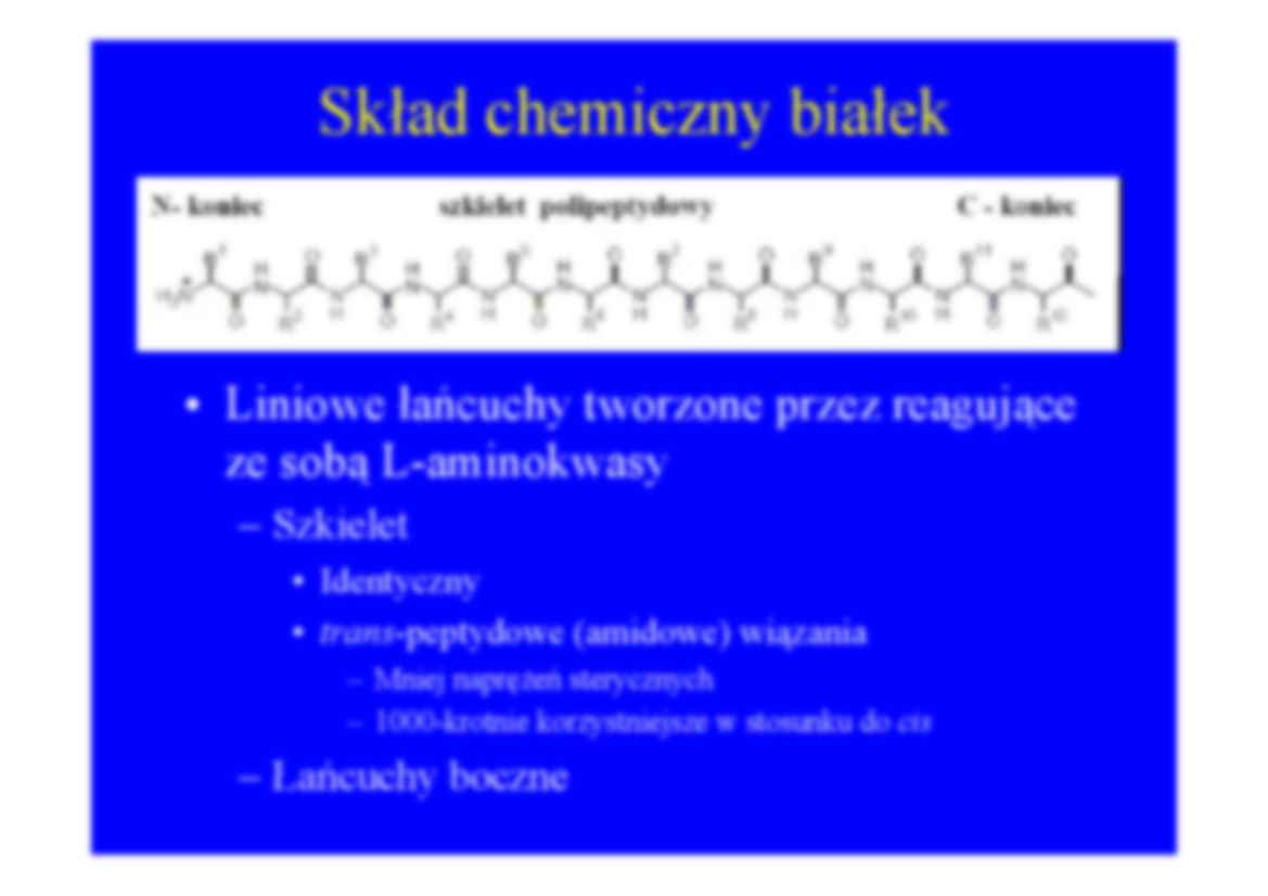 Białka - prezentacja - strona 2