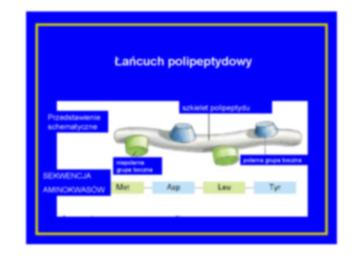 Białka - prezentacja - strona 3