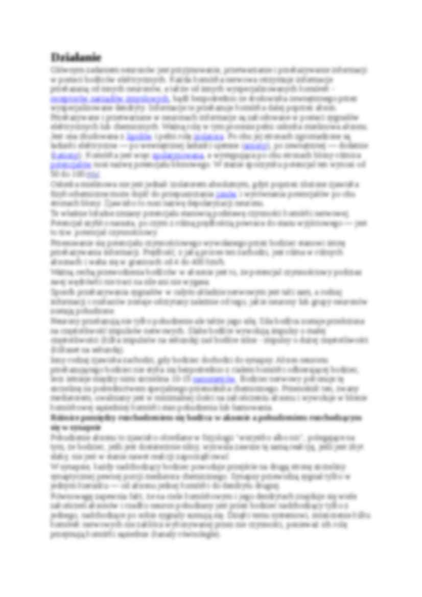 Układ nerwowy człowieka - strona 2