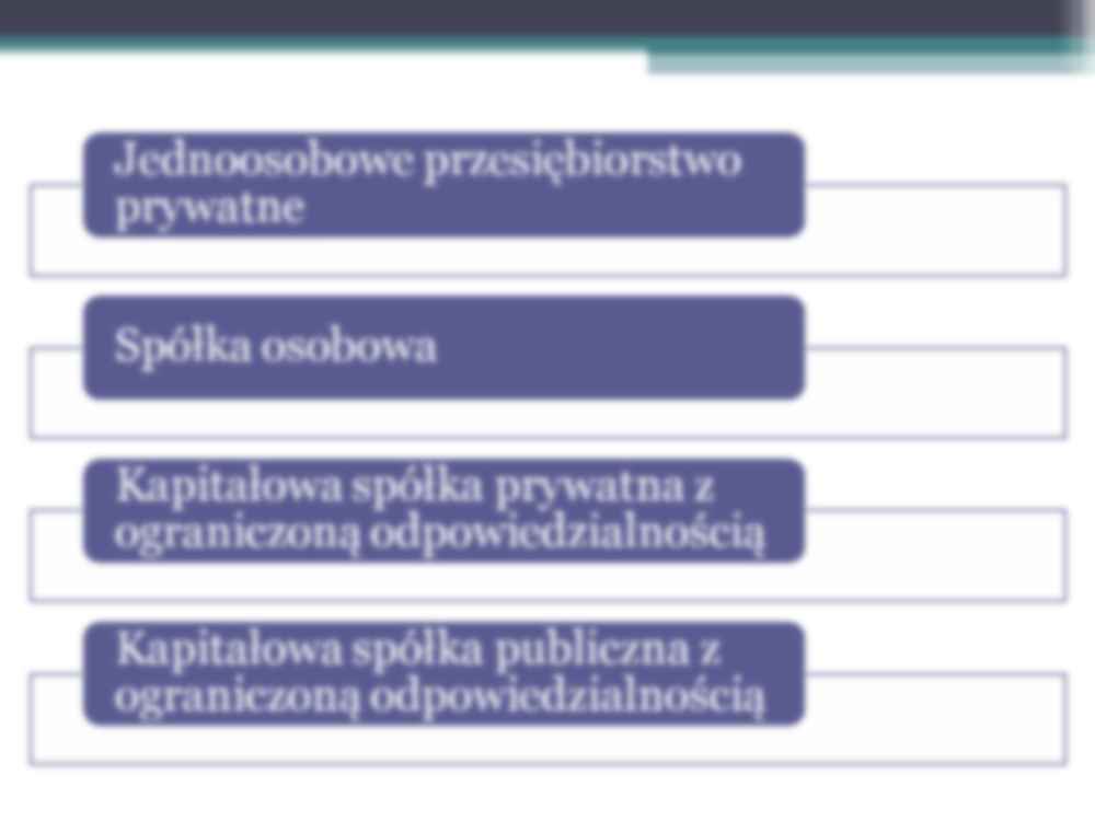 Prawno-organizacyjne formy przedsiębiorstw w UE - strona 2