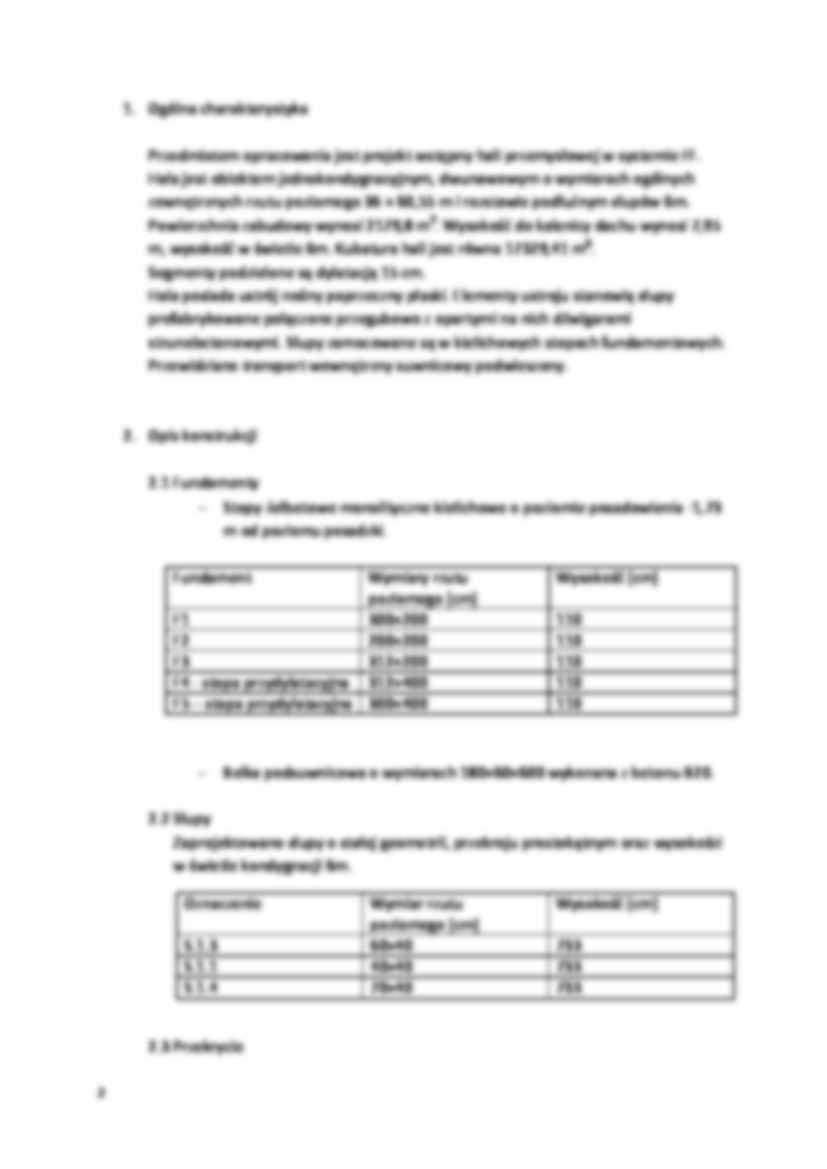 Opis techniczny hali - strona 2