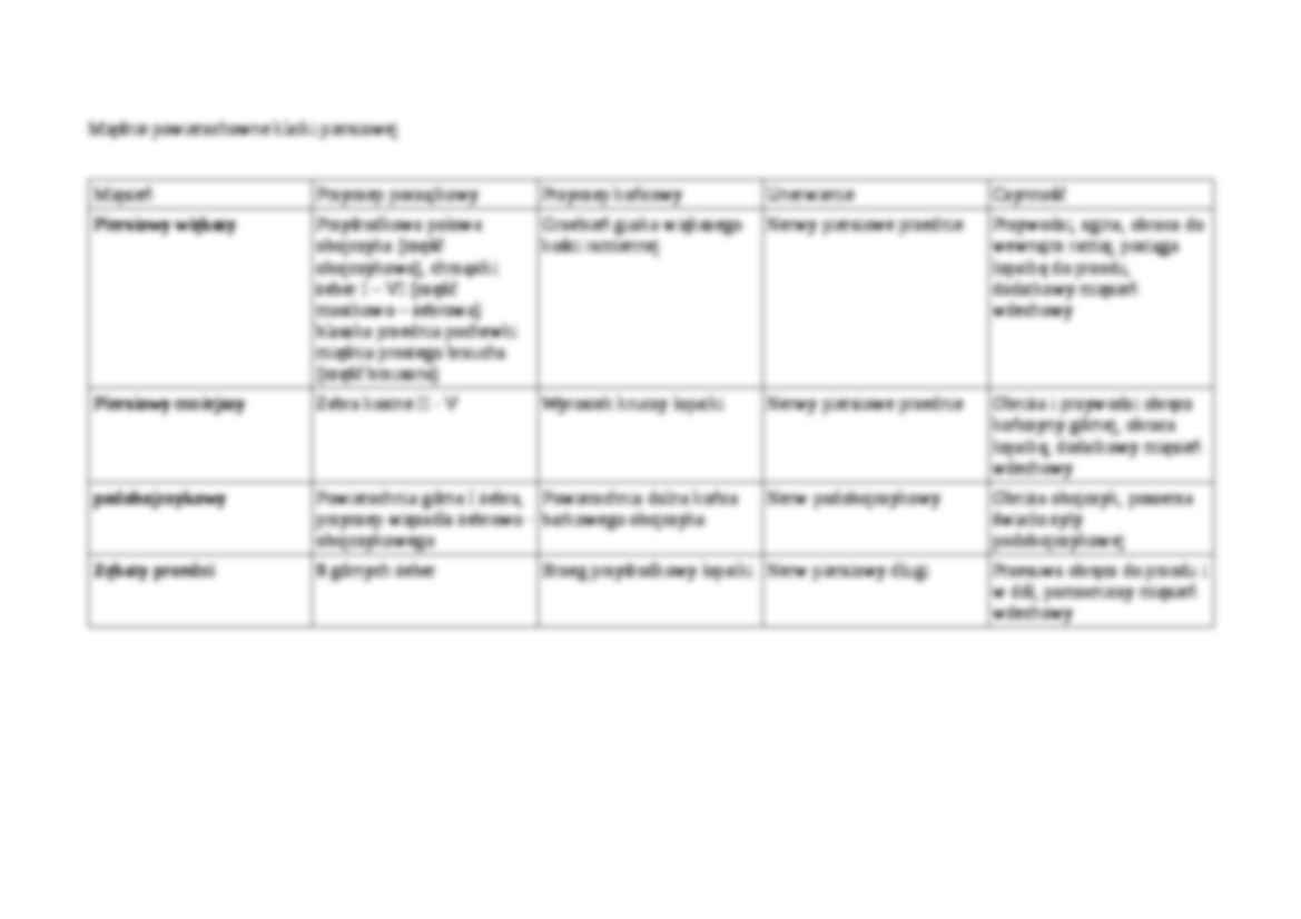 Anatomia kończyny górnej i dolnej - strona 2