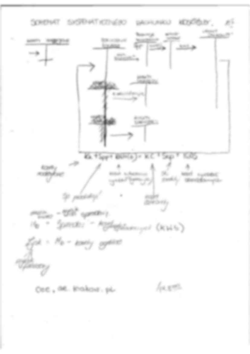 Rachunkowość zarządcza ćwiczenia - strona 3