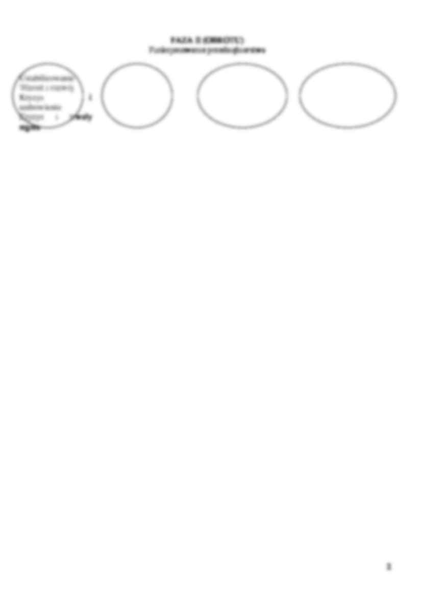 Decyzje podejmowane w przedsiębiorstwie - strona 2