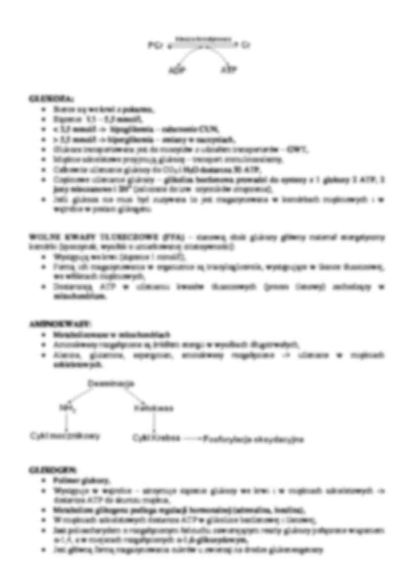 Fizjologia wysiłku - zagadnienia na egzamin - strona 2
