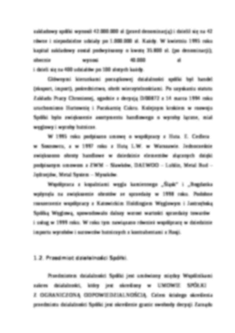 Analiza strategiczna - spółka wielobranżowa - przykład - strona 2