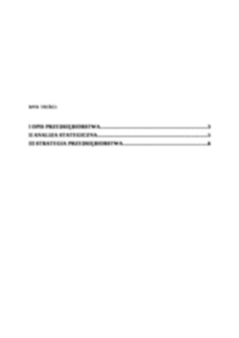 Strategia rozwoju przedsiębiorstwa J i S Nicholson - strona 2