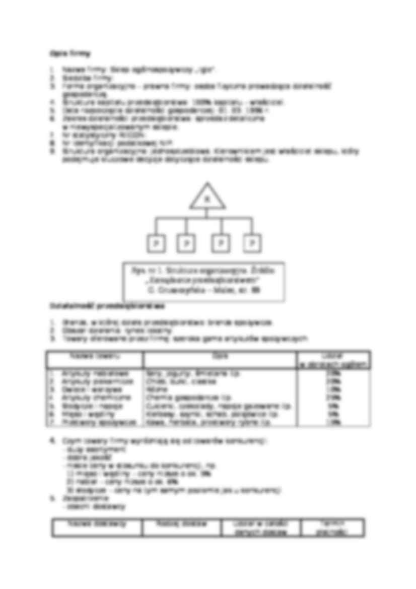 Strategia rozwoju sklepu Iglo - strona 2