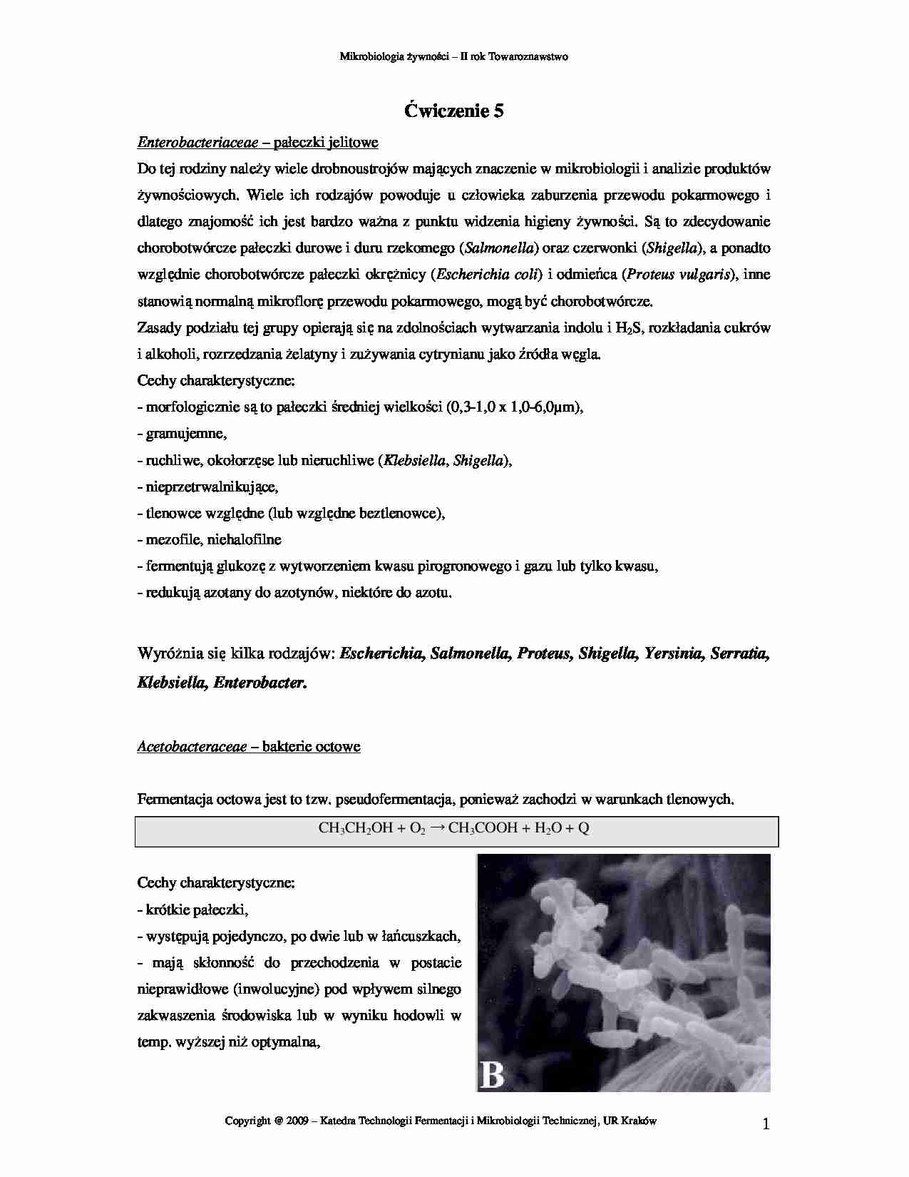 mikrobiologia, ćwiczenia 5  - strona 1