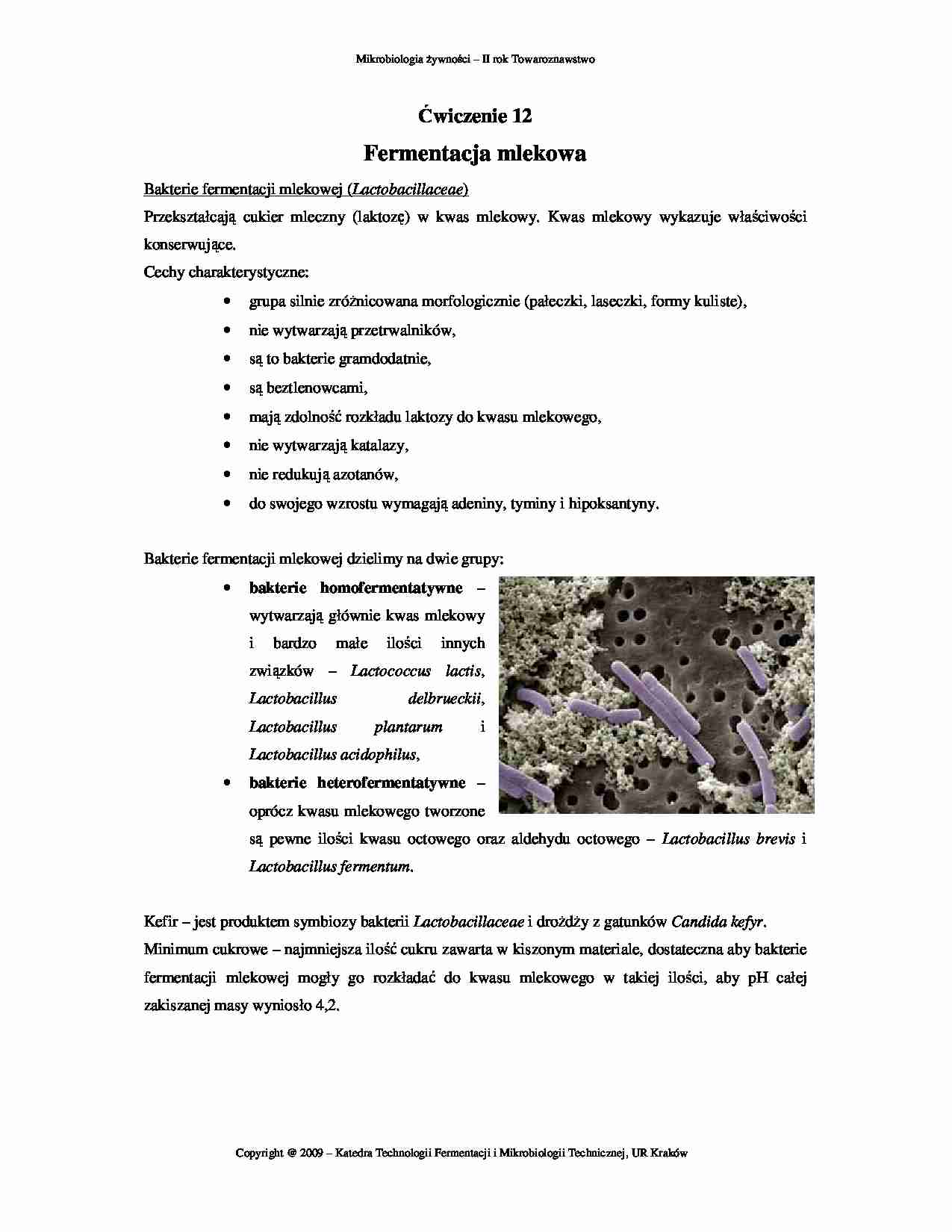 Fermentacja mlekowa - strona 1