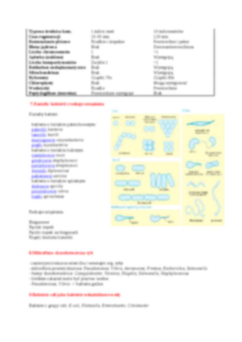 mikrobiologia opracowanie - strona 3