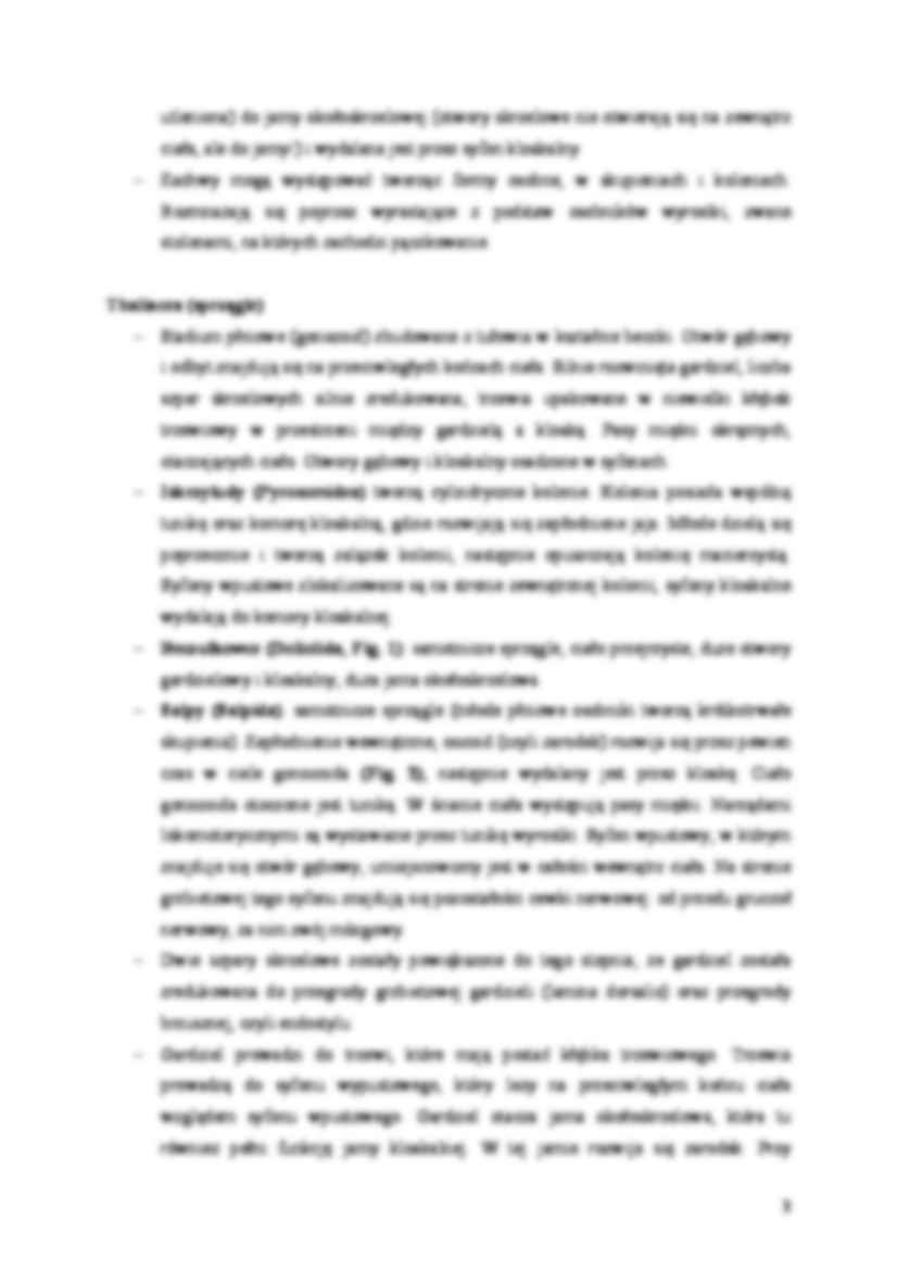 Zoologia kręgowców - ćwiczenia - strona 3