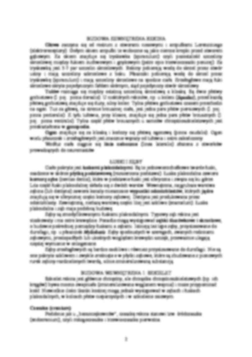 Zoologia kręgowców - ćwiczenia 2 - strona 2