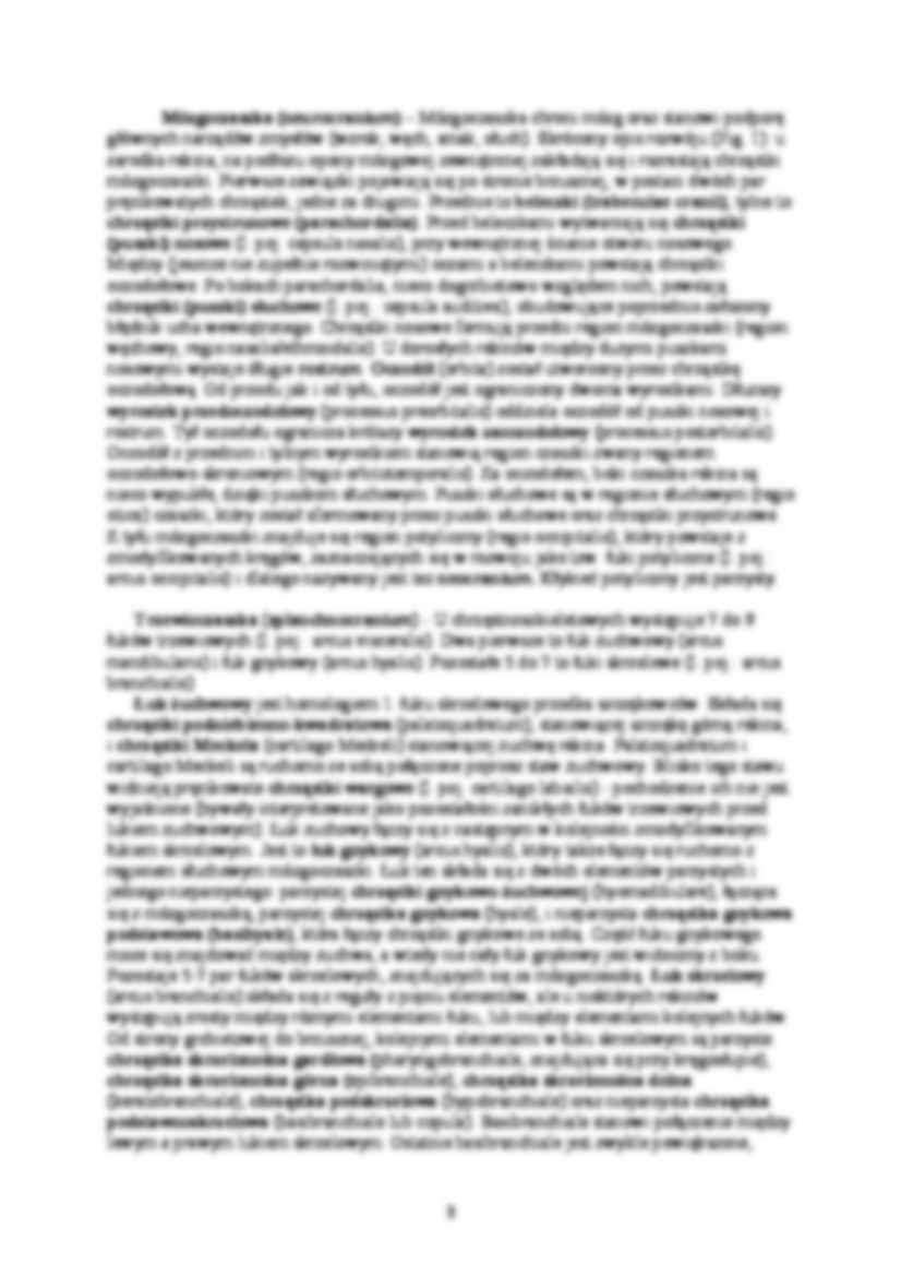 Zoologia kręgowców - ćwiczenia 2 - strona 3