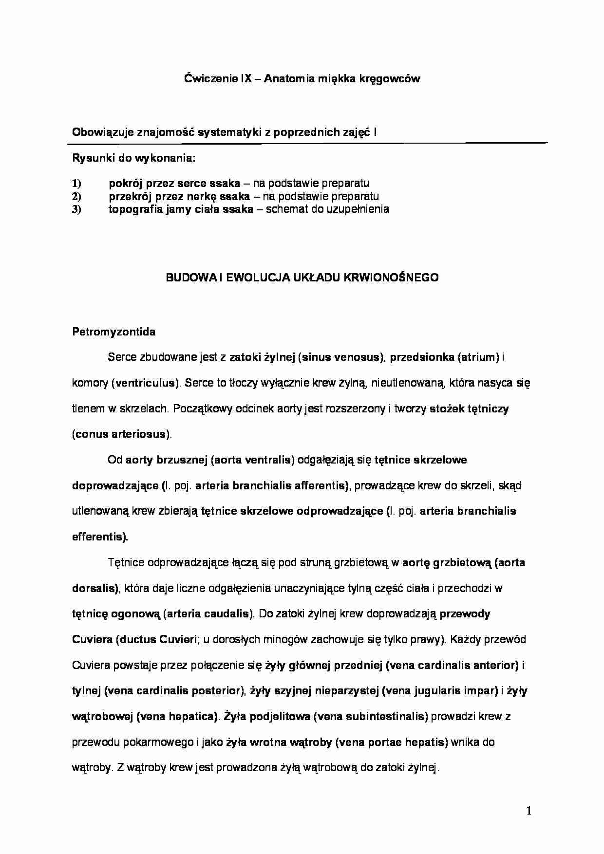 Ćwiczenie - Anatomia miękka kręgowców - strona 1