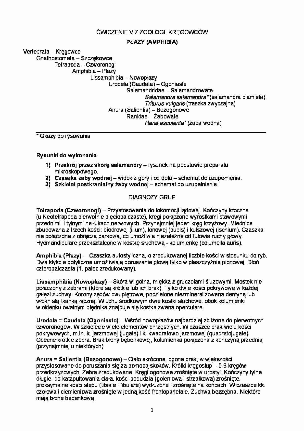 Zoologia kręgowców - ćwiczenia 5 - strona 1