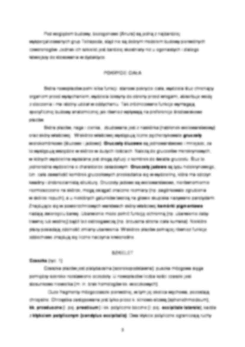 Zoologia kręgowców - ćwiczenia 5 - strona 2