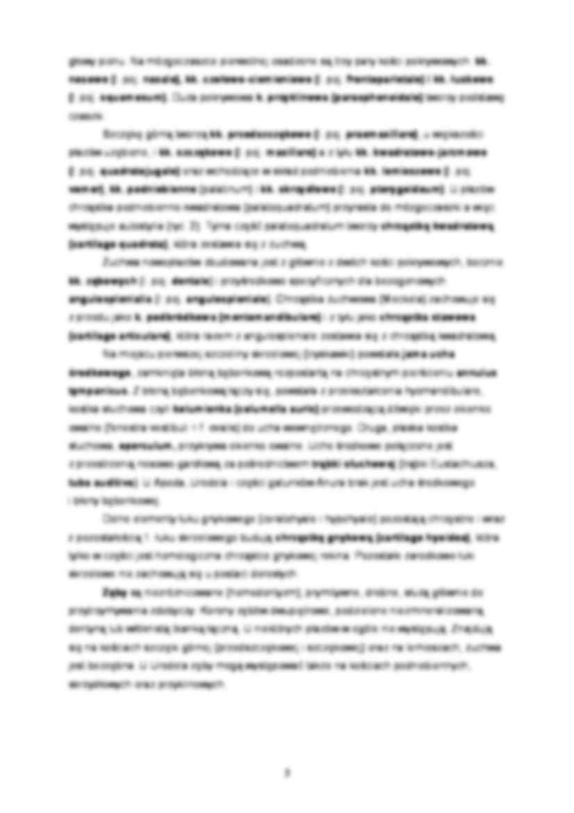Zoologia kręgowców - ćwiczenia 5 - strona 3