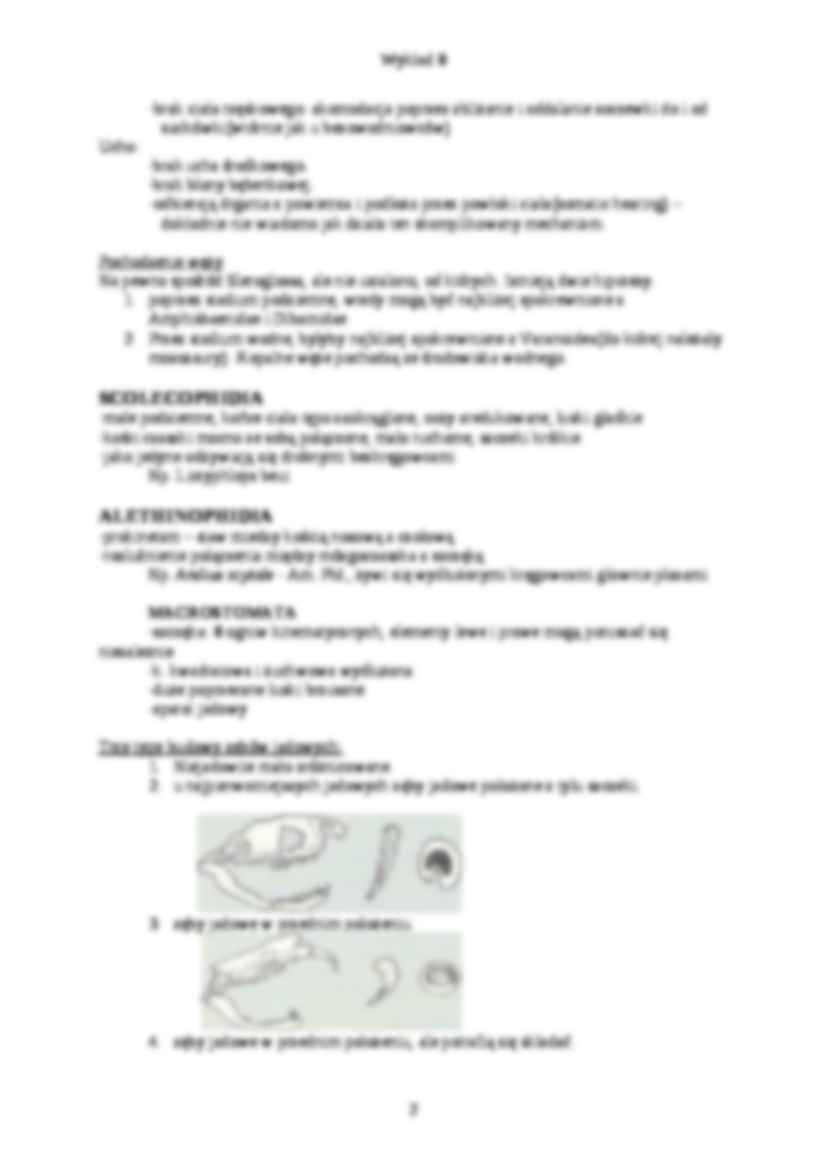 Zoologia kręgowców - wykład 8 - strona 2