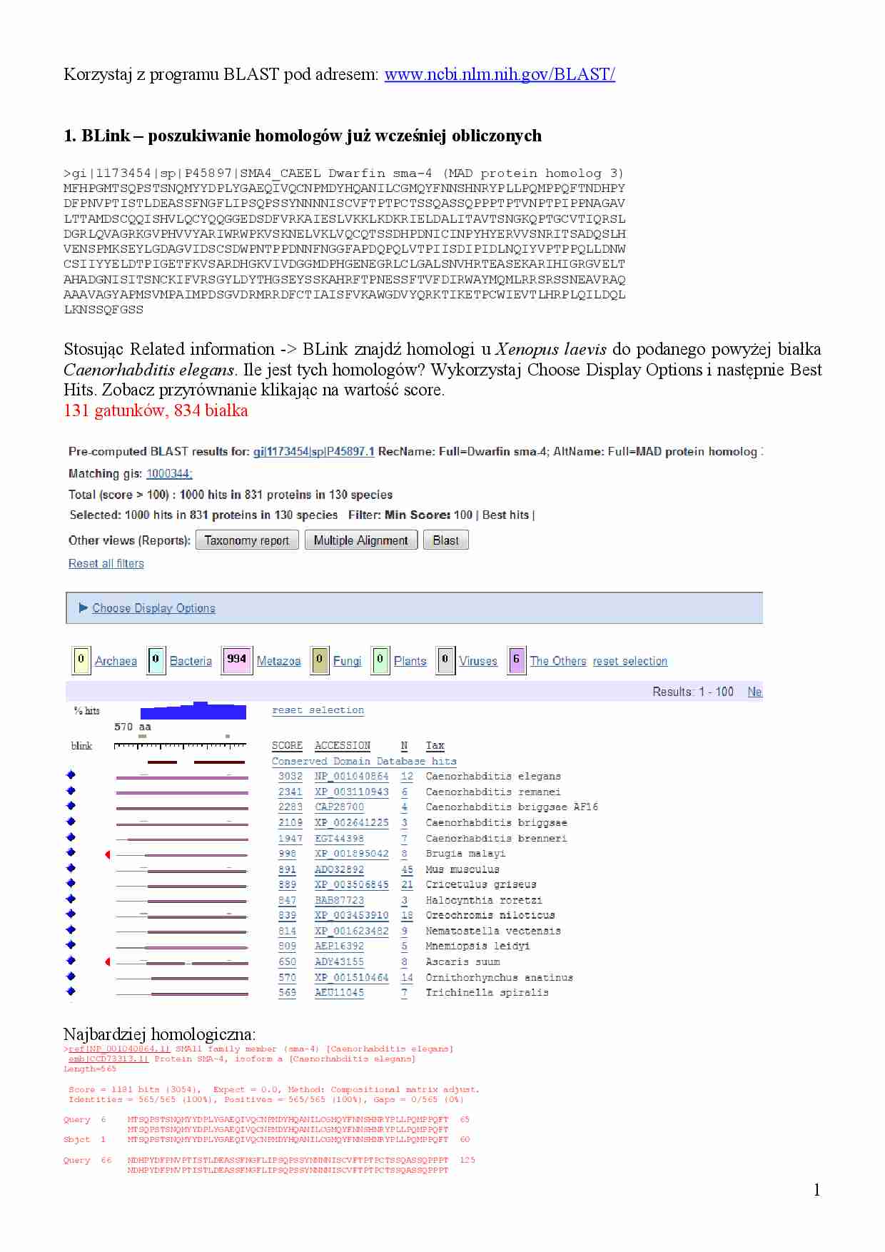 Sprawozdanie z programu BLAST - strona 1