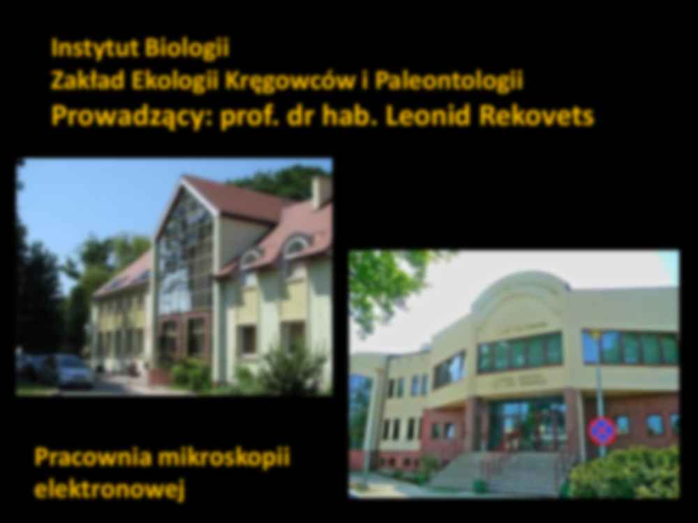 Ultrastruktura szlika zebów grupy Lagomorpha  - strona 2