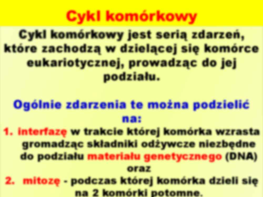 Cykl komórkowy i jego regulacja - strona 2
