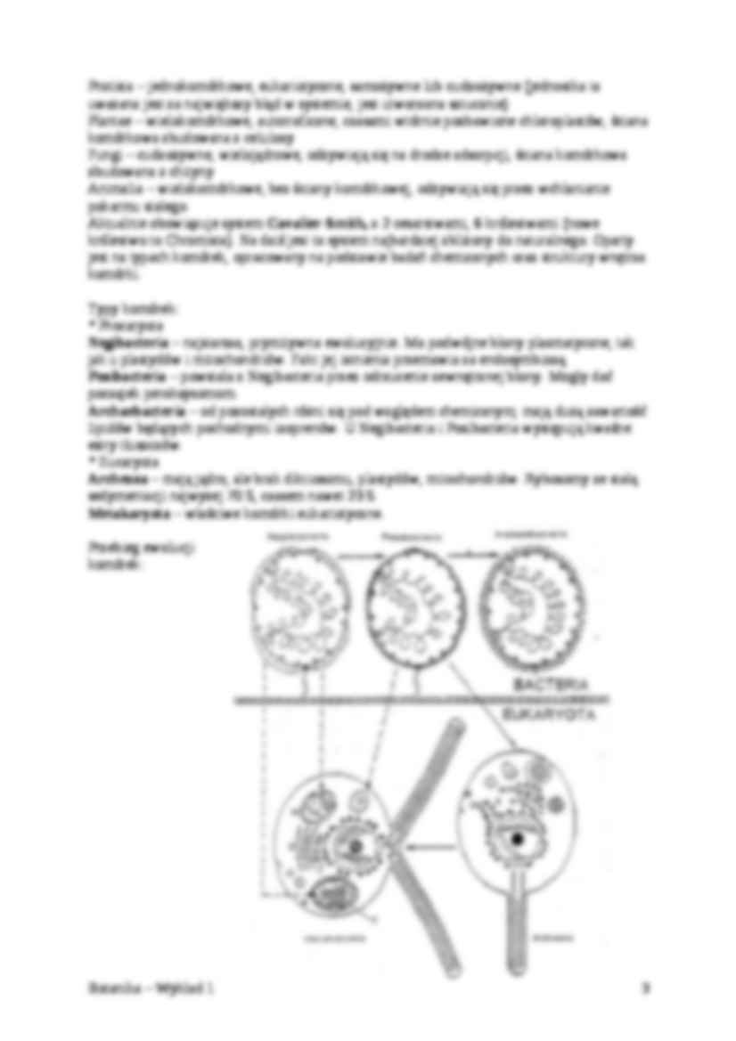 Botanika - wykład 1 - strona 3